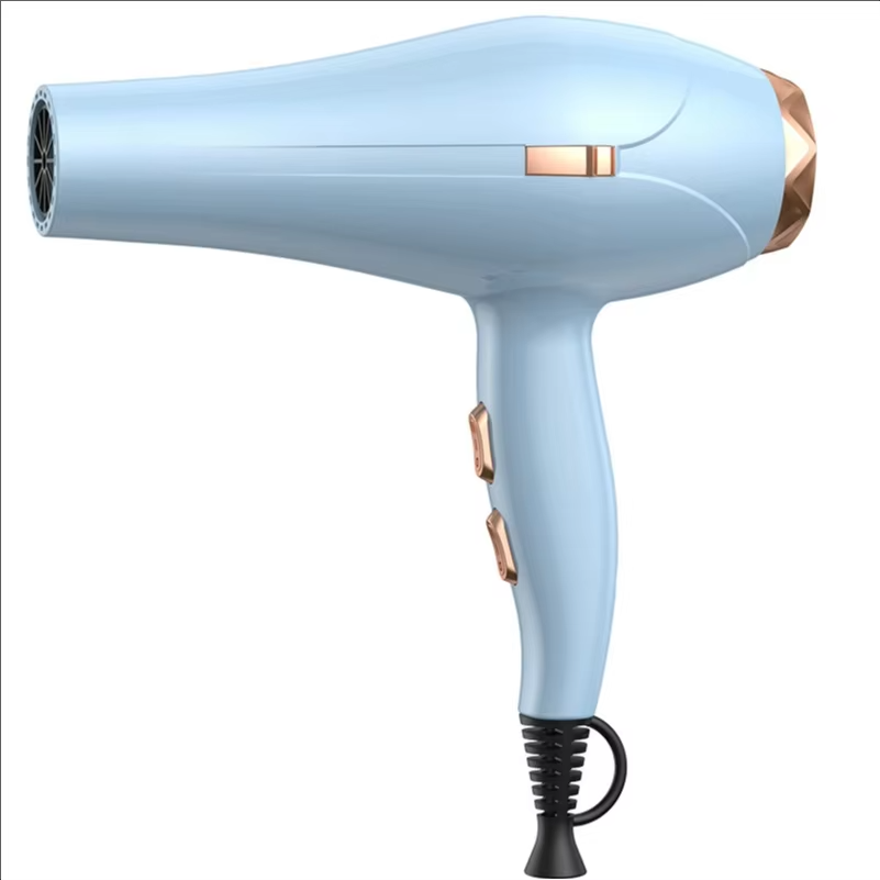 موی خشک کن حرفه‌ای سالن با توان بالا، باد گرم و سرد، دیفیوزر